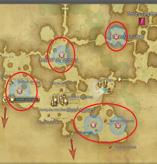 Final Fantasy 14 Le pexing, comment monter en niveau rapidement Breakflip Actualités et